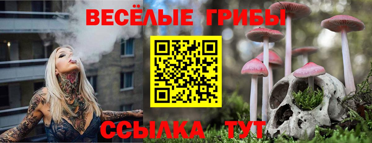 Псилоцибиновые грибы ЛСД Зима
